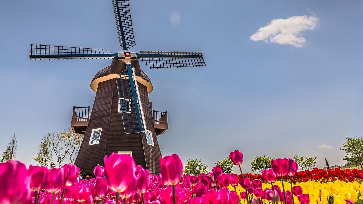 Holandia - popularne miejsce podróży